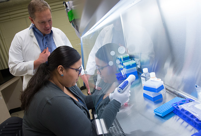 People working in a lab