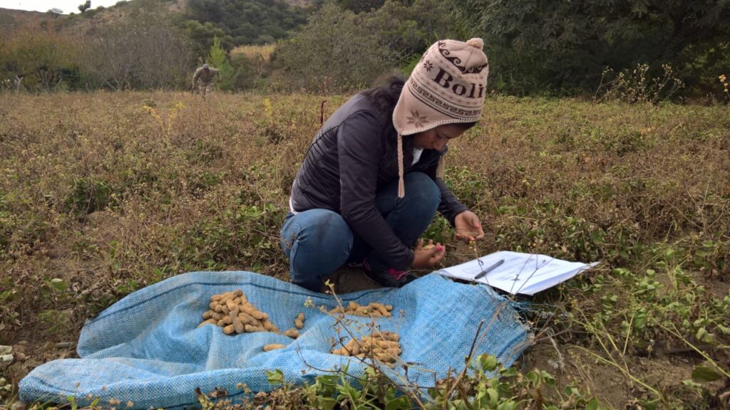 A bolivian farmer