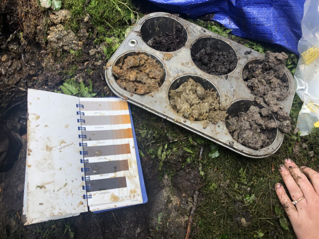 Soil samples